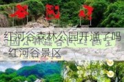 红河谷森林公园开通了吗-红河谷景区