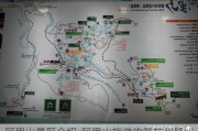 阿里山景区介绍-阿里山旅游攻略杭州路线