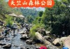 厦门天竺山森林公园哪个门进去比较好玩一点_厦门天竺山森林公园哪个门进去比较好玩