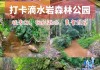 滴水岩森林公园的简介-滴水岩森林公园简介