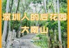 深圳 大南山-深圳大南山公园开放时间