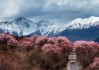 林芝旅游攻略必玩的景点推荐一下-林芝旅游著名景点