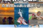 广州北海旅游攻略一日游,广东省北海市旅游地区