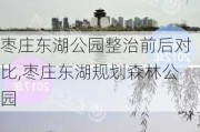 枣庄东湖公园整治前后对比,枣庄东湖规划森林公园