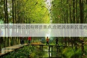 合肥滨湖湿地公园有哪些景点,合肥滨湖新区湿地公园