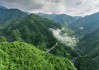 临安天目山自驾游攻略-临安天目山旅游攻略一日游多少钱