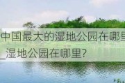 中国最大的湿地公园在哪里_湿地公园在哪里?