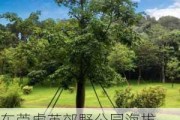 东莞虎英郊野公园海拔-东莞虎英郊野公园海拔多少