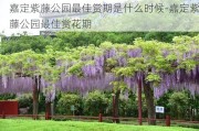 嘉定紫藤公园最佳赏期是什么时候-嘉定紫藤公园最佳赏花期