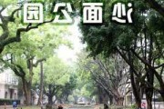 广州沙面公园在哪个区,广州市沙面公园的图片