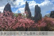 王子山森林公园官网,王子山森林公园樱花