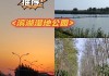 合肥滨湖湿地公园路灯_表格怎么选择横向打印