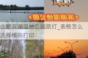 合肥滨湖湿地公园路灯_表格怎么选择横向打印