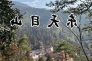 天目山旅游攻略抖音-天目山旅游攻略一天游