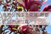 雕塑公园玉兰花展-雕塑公园的玉兰花