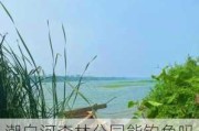 潮白河森林公园能钓鱼吗-潮白河森林公园附近住宿