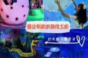 东莞去深圳海洋公园-东莞怎么去海洋王国