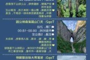 张家界旅游攻略?-张家界旅游攻略5天4晚攻略