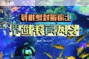 长风公园海洋馆门票价格,长风公园海洋世界怎么样