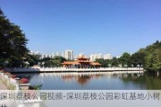 深圳荔枝公园视频-深圳荔枝公园彩虹基地小树林