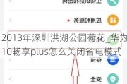 2013年深圳洪湖公园荷花_华为10畅享plus怎么关闭省电模式