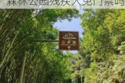 广州帽峰山森林公园残疾人免门票吗_广州帽峰山森林公园残疾人免门票吗