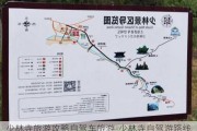 少林寺旅游攻略自驾车旅游-少林寺自驾游路线