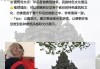 雅加达旅游攻略大全-雅加达旅游攻略自由行