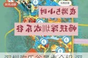 深圳欢乐谷景点介绍,深圳欢乐谷旅游攻略景点推荐路线