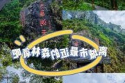 水濂山森林公园旅游,水濂山森林公园攻略