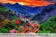 山东旅游景点红叶谷,山东红叶谷门票多少钱