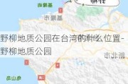 野柳地质公园在台湾的什么位置-野柳地质公园