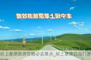 坝上草原旅游攻略必去景点_坝上草原自由行游攻略