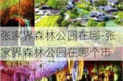 张家界森林公园在哪-张家界森林公园在哪个市