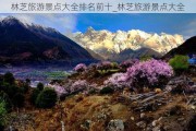 林芝旅游景点大全排名前十_林芝旅游景点大全