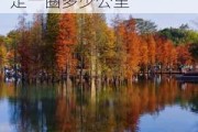 佛山千灯湖公园门票多少钱一张-佛山千灯湖公园走一圈多少公里