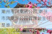 潮州市凤凰洲公园,潮州市凤凰洲公园管理处主任是谁