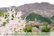 石景山雕塑公园玉兰花,石景山雕塑公园票价