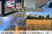 北京西山森林公园怎么走-北京西山森林公园坐什么车