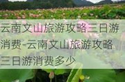 云南文山旅游攻略三日游消费-云南文山旅游攻略三日游消费多少