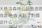 天桥沟森林公园旅游路线攻略,春天到了刺猬说什么