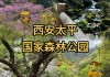 太平森林公园一日游_太平森林公园一日游怎么发表微信朋友圈