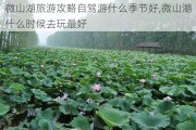 微山湖旅游攻略自驾游什么季节好,微山湖什么时候去玩最好