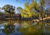 沈阳春季旅游攻略必去景点推荐_沈阳春季旅游最佳去处