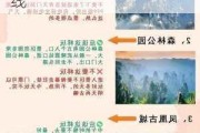 新宁到张家界旅游攻略_新宁到张家界旅游攻略路线