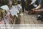 合肥杏花公园相亲角开放时间-合肥杏花公园相亲角收费吗