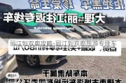 丽江到双廊攻略-丽江到双廊旅游专线车