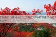 石家庄西山森林公园秋天有红叶吗-石家庄西山红叶的地方