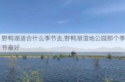 野鸭湖适合什么季节去,野鸭湖湿地公园那个季节最好