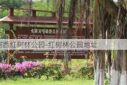 河西红树林公园-红树林公园地址